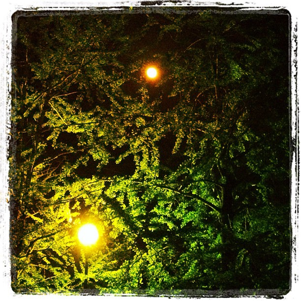 夜 - from Instagram